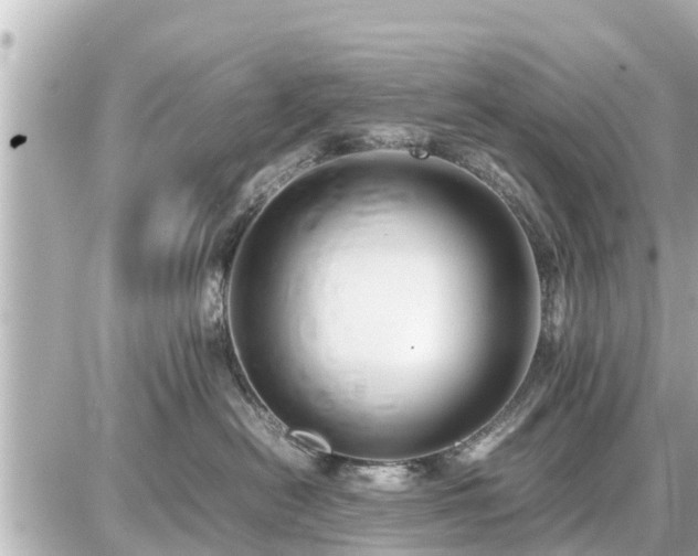 X0000087050478200704251008