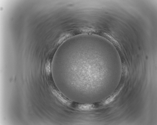 X0000087050479200704251009