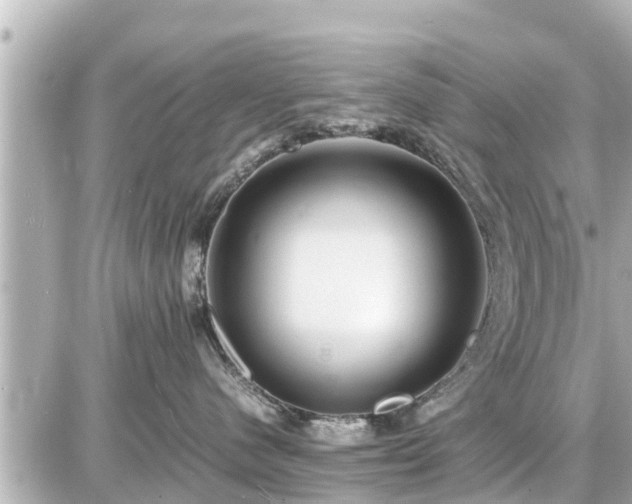 X0000087050480200704251009