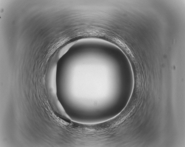 X0000087050481200704251008