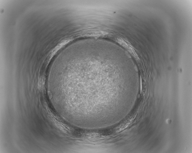 X0000087050483200704251008