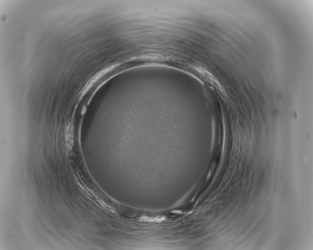 X0000087050484200704251008