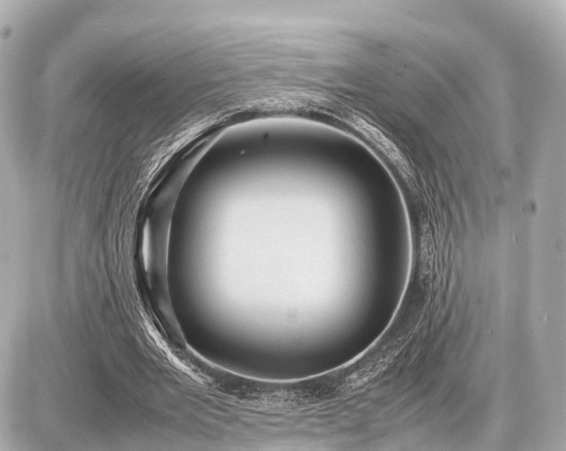 X0000087050485200704251008