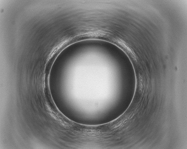 X0000087050486200704251008