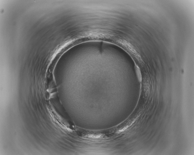 X0000087050488200704251008