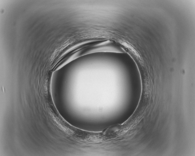 X0000087050489200704251008