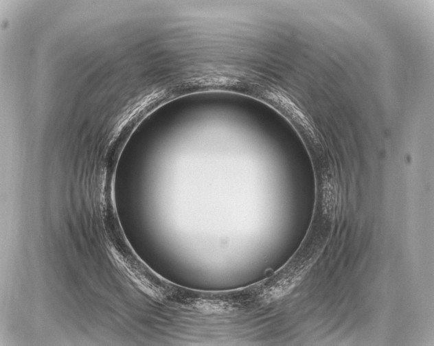 X0000087050490200704251008