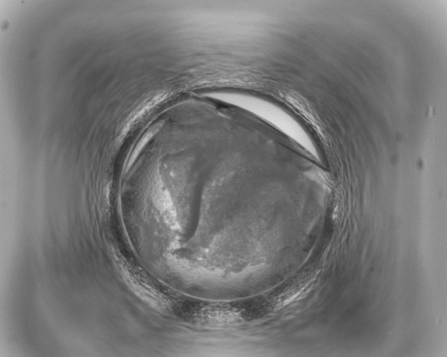 X0000087050491200704251008