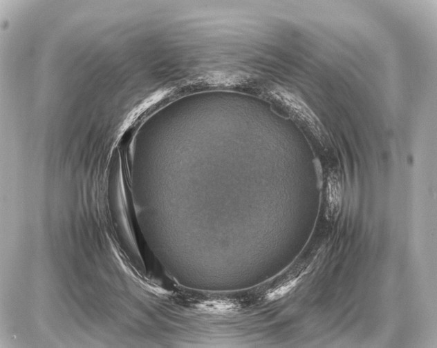 X0000087050492200704251008