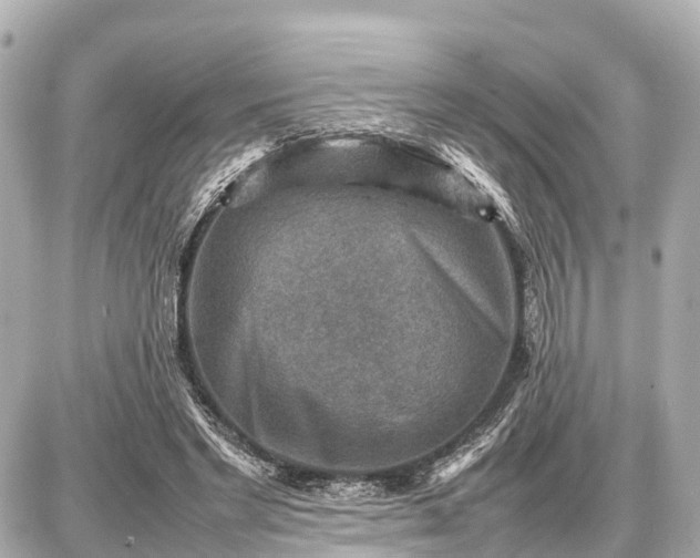 X0000087050493200704251008