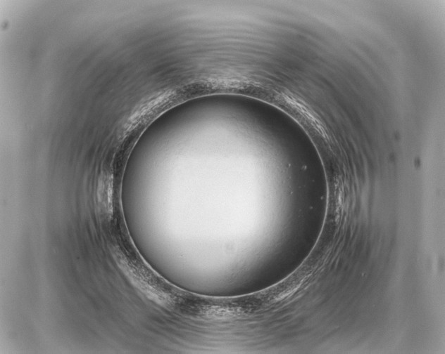 X0000087050494200704251008