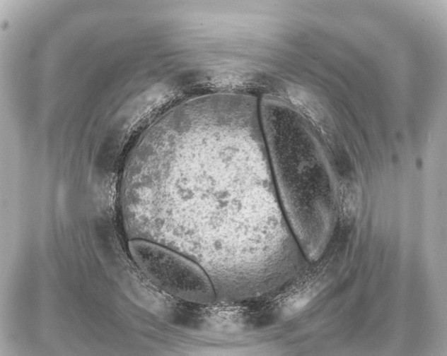 X0000087050495200704251008