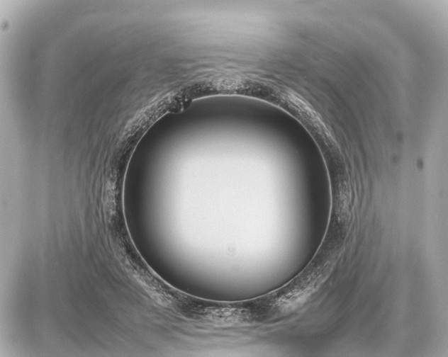 X0000087050497200704251007