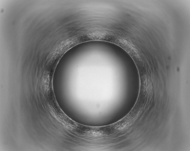 X0000087050498200704251007