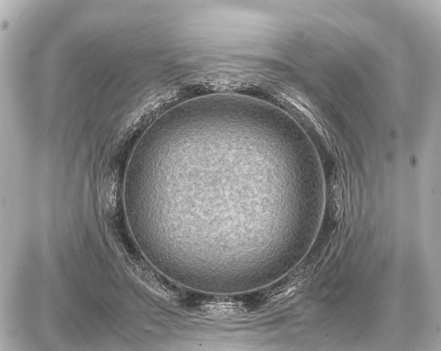 X0000087050499200704251007