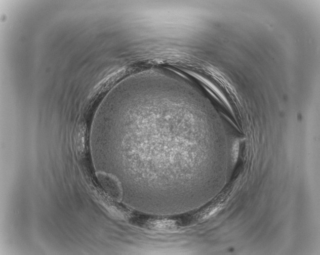 X0000087050501200704251007