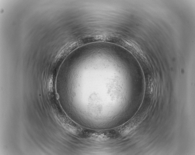 X0000087050502200704251007