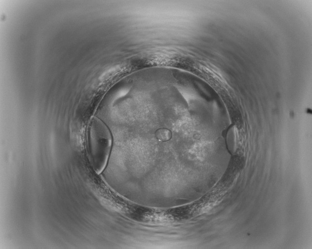 X0000087050503200704251007