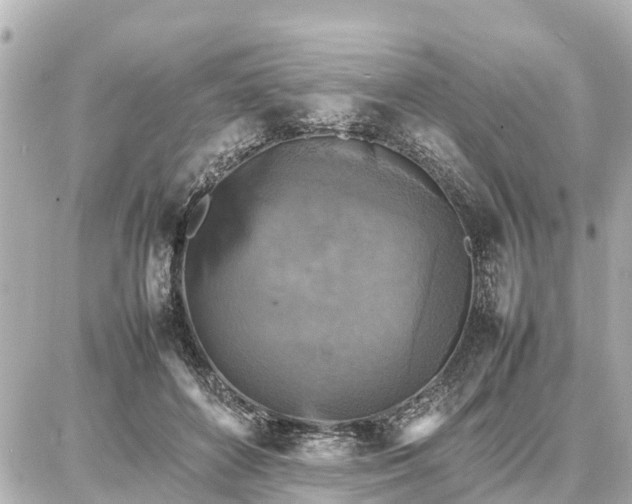 X0000087050504200704251007