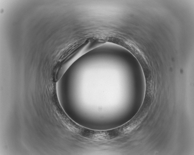 X0000087050505200704251007