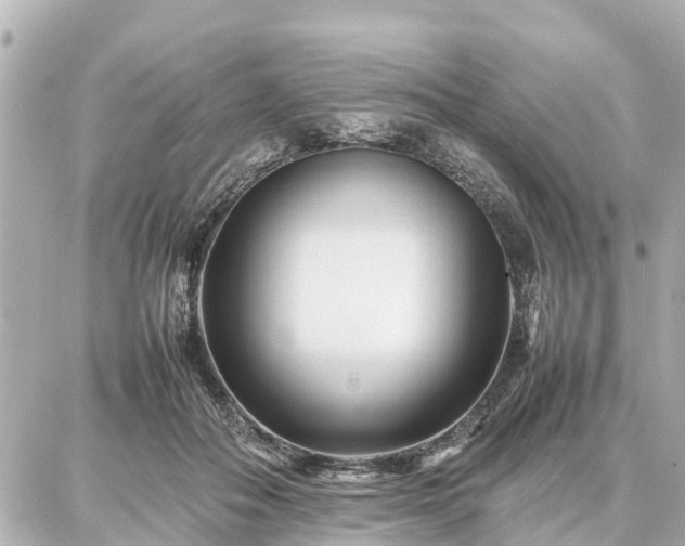 X0000087050506200704251007