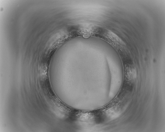 X0000087050507200704251007