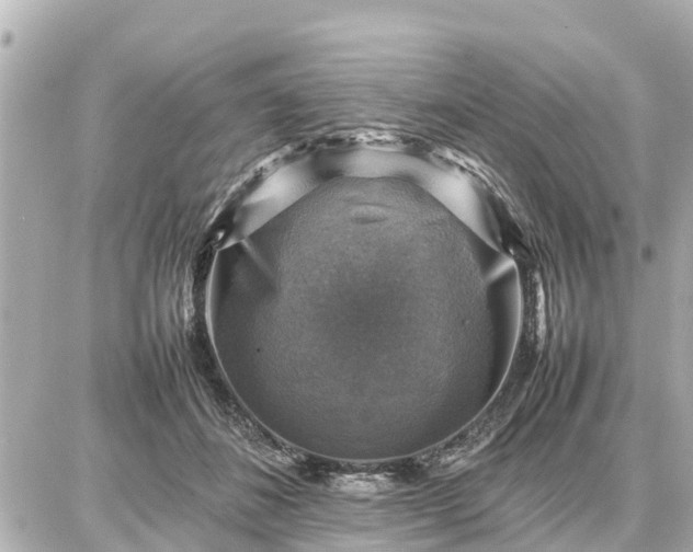 X0000087050508200704251007