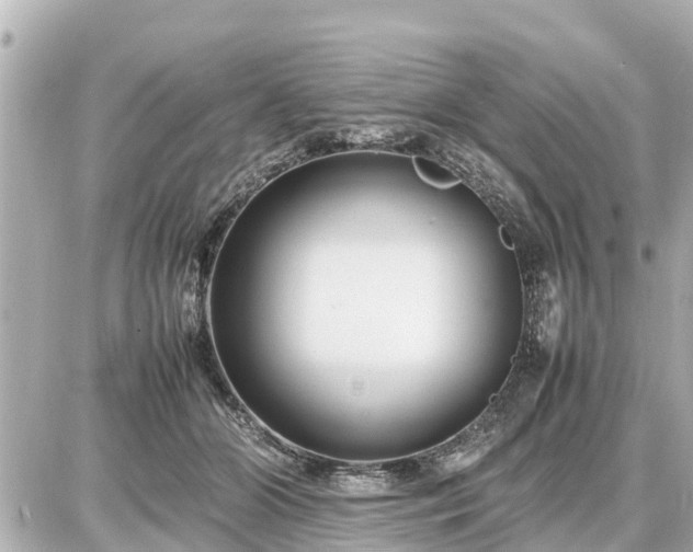 X0000087050510200704251007