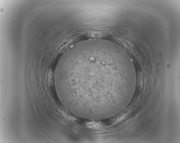 X0000087050511200704251007