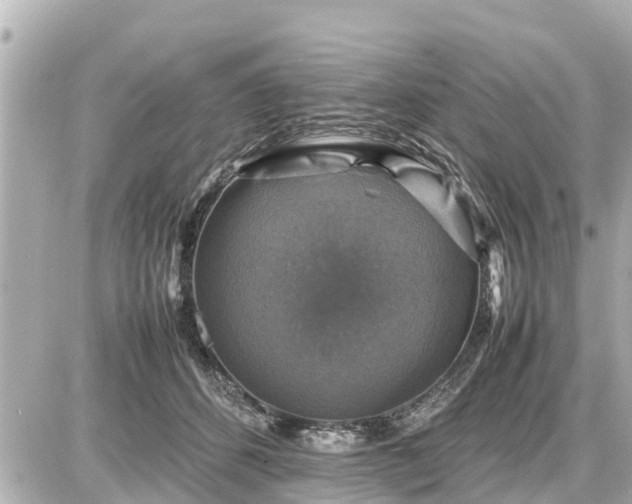 X0000087050512200704251007