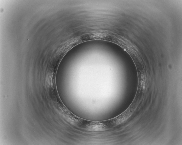 X0000087050514200704251007