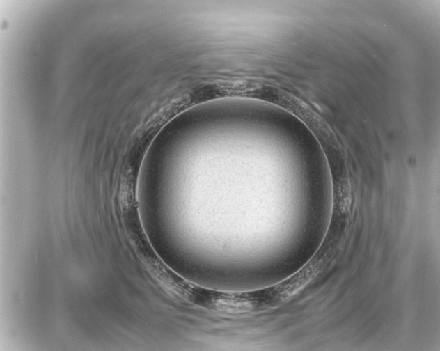 X0000087050515200704251007