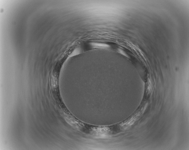 X0000087050517200704251007