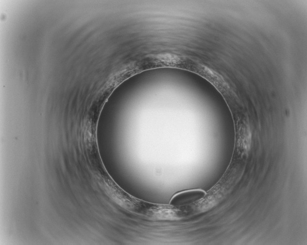 X0000087050518200704251007