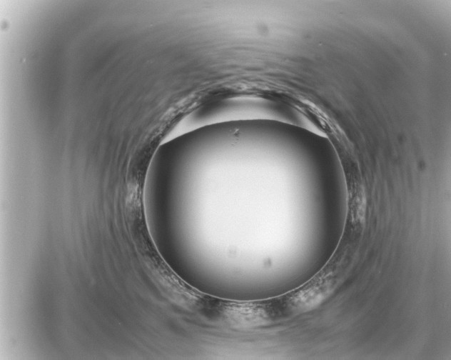 X0000087050521200704251007