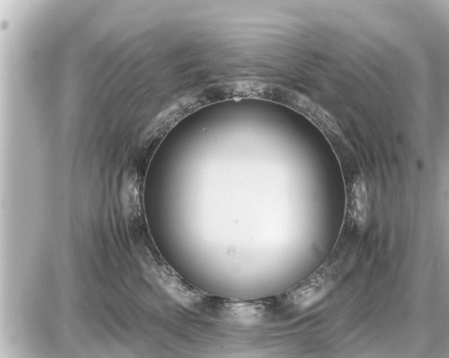 X0000087050522200704251007