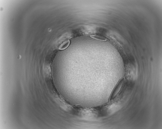 X0000087050523200704251007