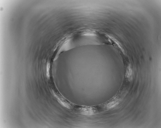 X0000087050524200704251007