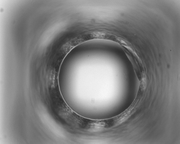 X0000087050525200704251007