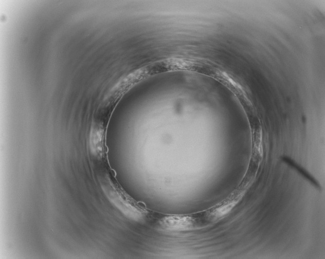 X0000087050526200704251007