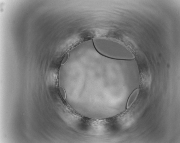 X0000087050527200704251007