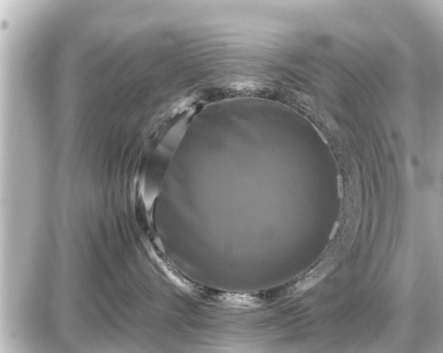 X0000087050528200704251007