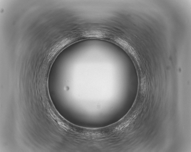 X0000087050529200704251006