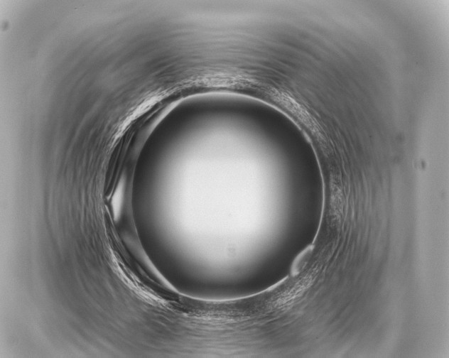 X0000087050530200704251006