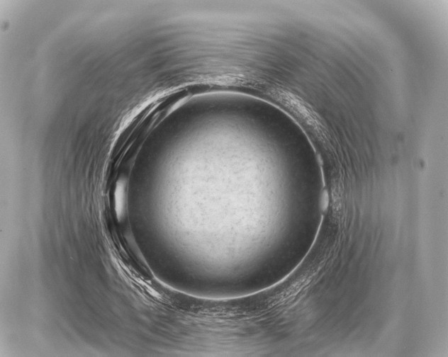 X0000087050532200704251006