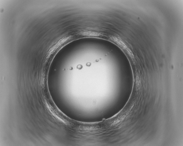 X0000087050533200704251006