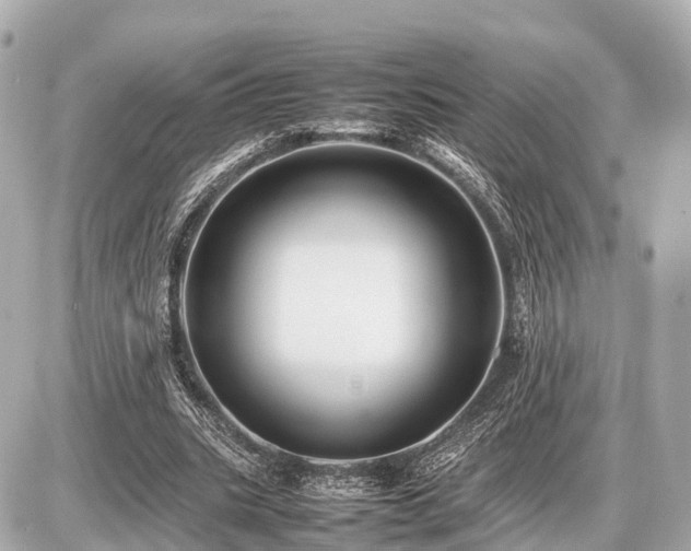 X0000087050535200704251006