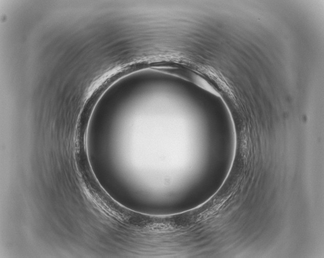 X0000087050536200704251006