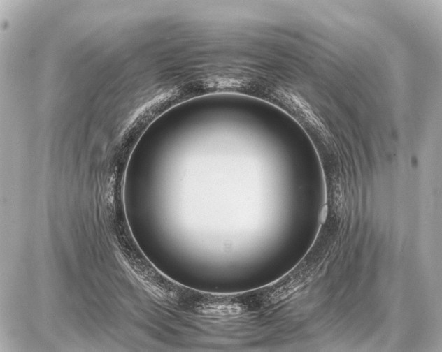 X0000087050543200704251006