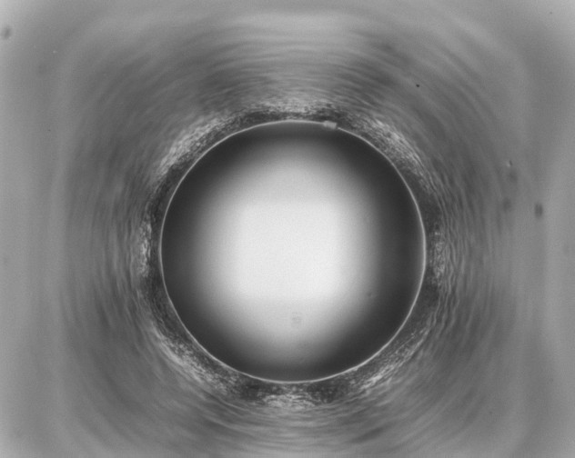 X0000087050544200704251006